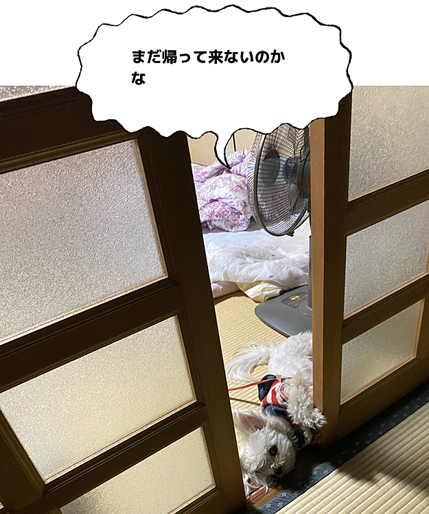 ココの母の投稿