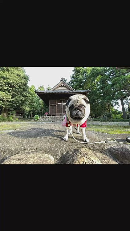 陽射しは強かったですが、空気は秋の気配