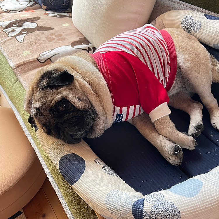 お家でダラダラ💤