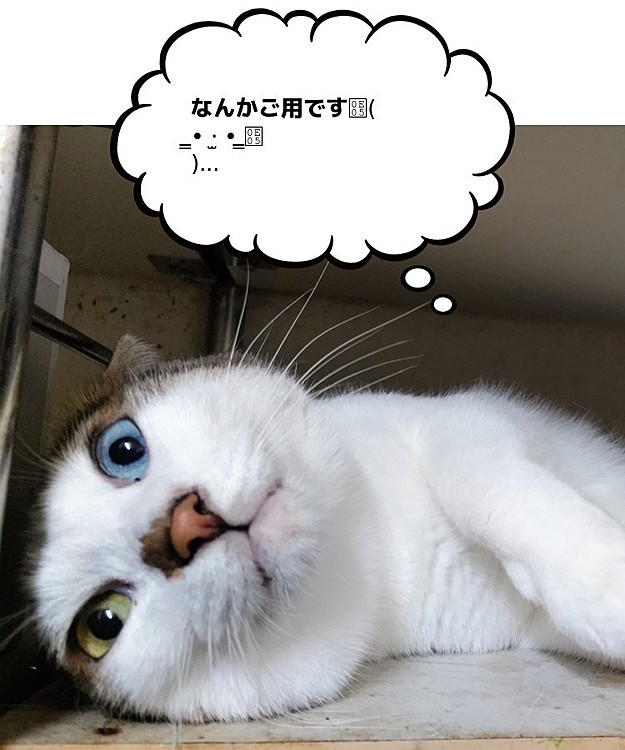 そらの投稿