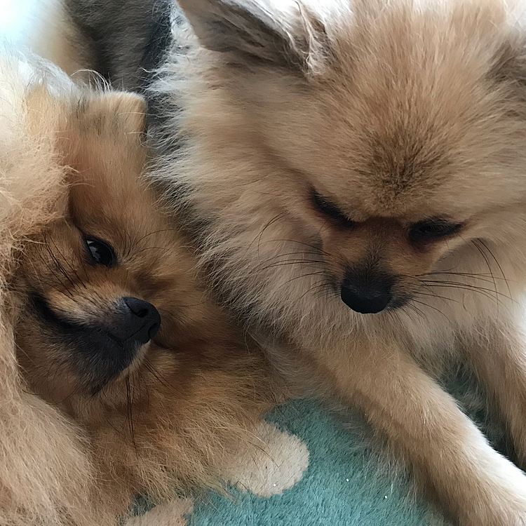 そろそろ、おねむです💕