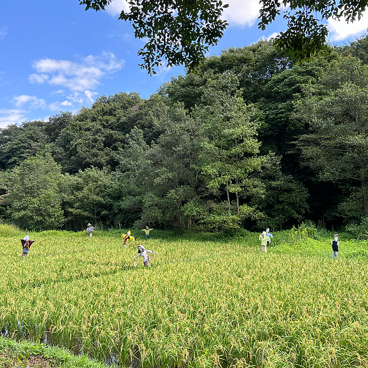 自然がいっぱいの公園でたっぷりお散歩できました✨