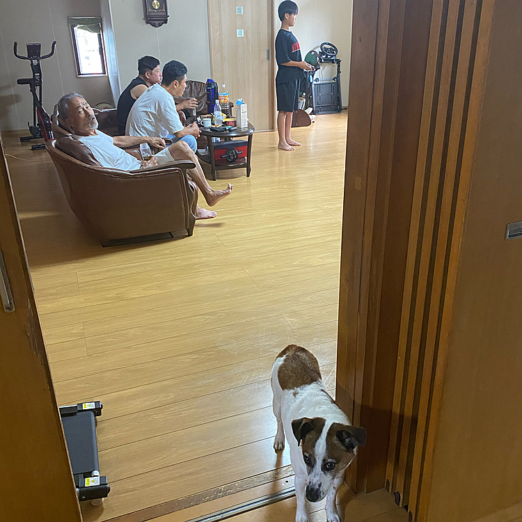 今日は、二男と、二男の二男が遊びに！