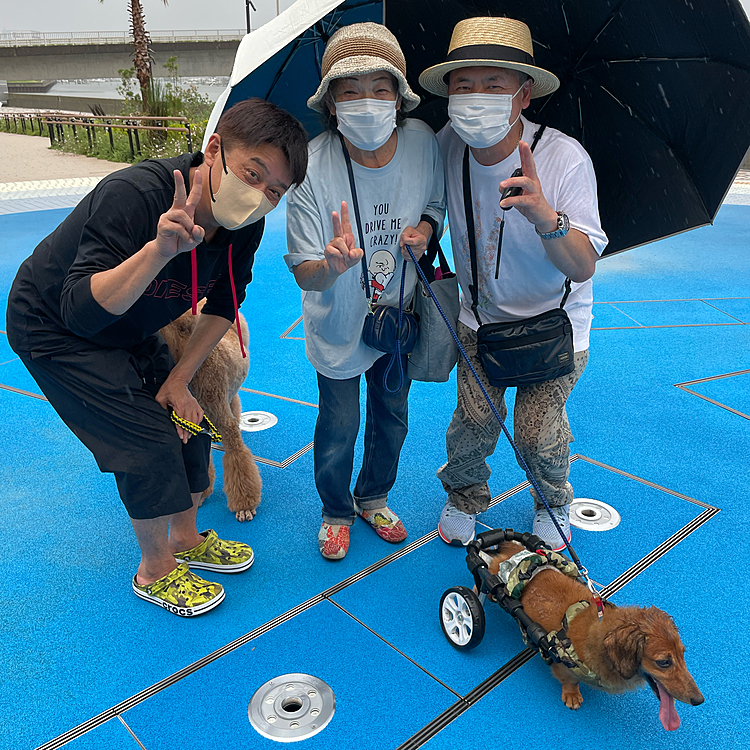 坂上ｻﾝはホントにテレビのまんまの気さくなお方で､動物保護活動にも本気度をビシビシ感じました✨✨✨
いっそ期間限定と言わずにずっとオープンしててくれればいいのに☺️☺️☺️
来週は天気が良ければまたお伺いしますね👍👍👍

#ヘルニア犬#リハビリ犬#坂上忍#坂上どうぶつ王国#HARBORNICEDAY