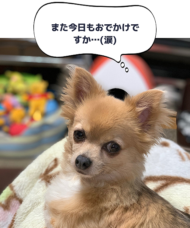 Rickyの投稿