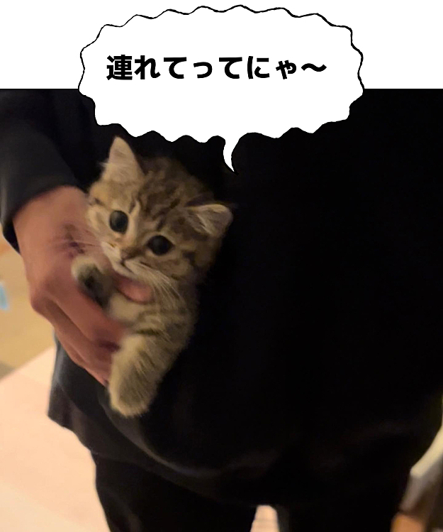 ポケットに入った🤣笑