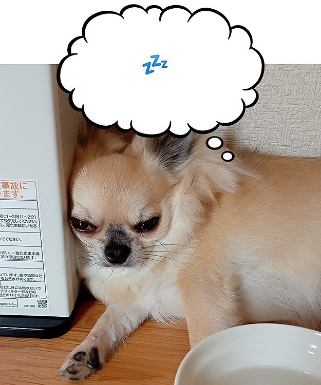あ〜眠い
