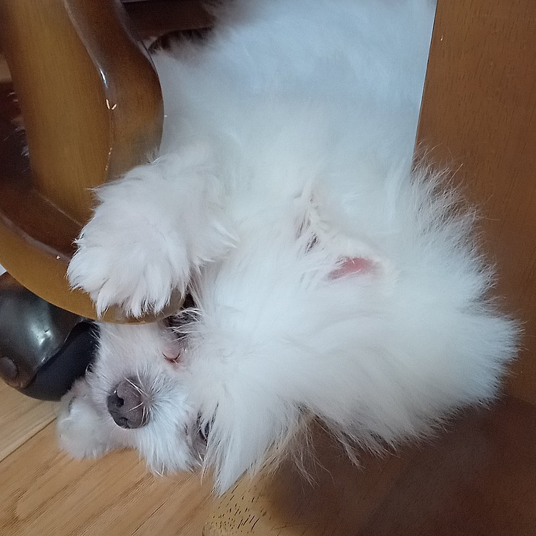 ハマってるぅ〜