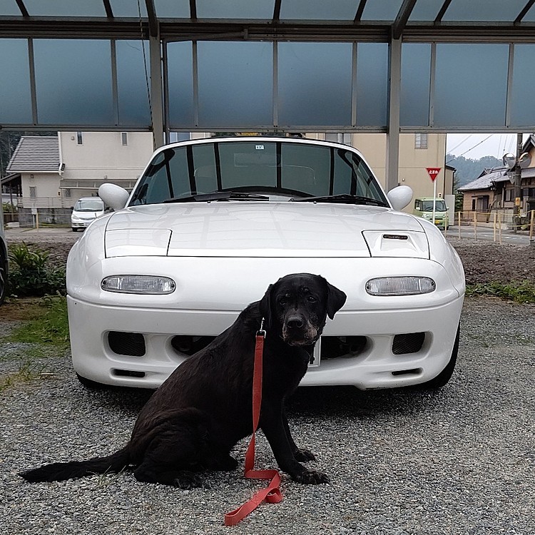 愛犬と愛車🎵