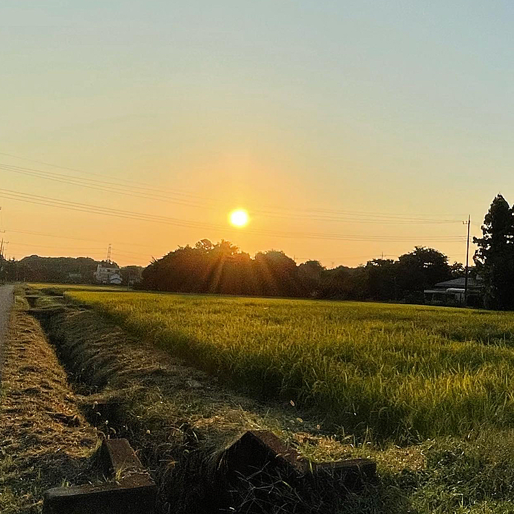 6時前、日の出もゆっくりになりました☀️