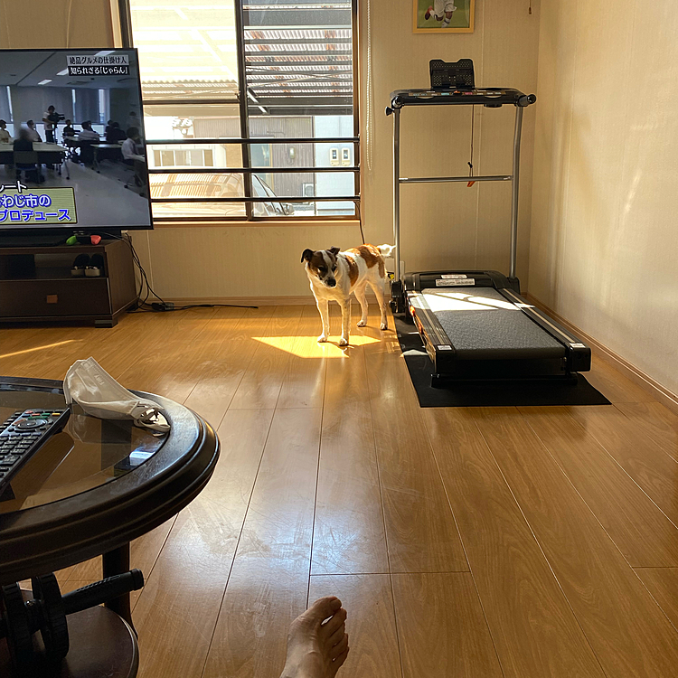 今日、1回目のプールから出て、寒くなったのかな？日向ぼっこしてる‼️