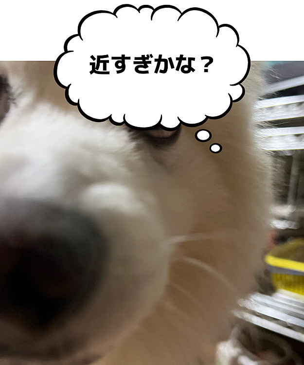 10歳になりました
