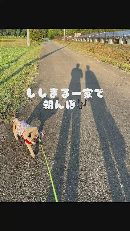 朝んぽ、一家で行ってきました🎶