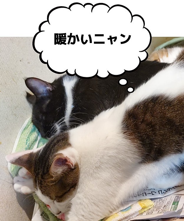 そらの投稿