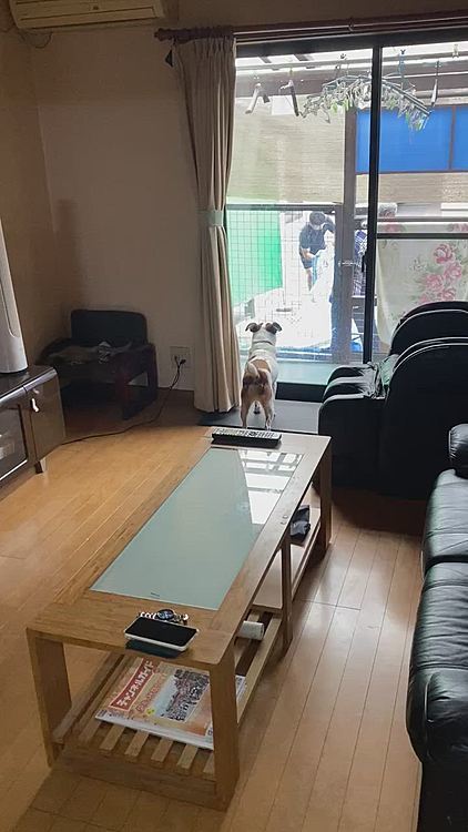 ママ、大変大変！プール無くなっちゃうよ‼️