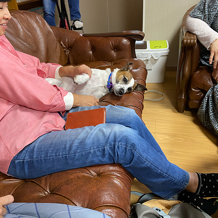 ママが、お友達とランチ行って帰りに寄って遊んでくれたよ❣️