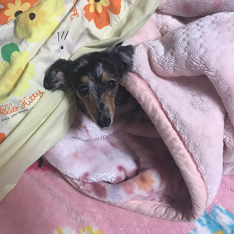 お布団大好きやったねえ☺️☺️
寝起きでぼ〜っとしてたね。