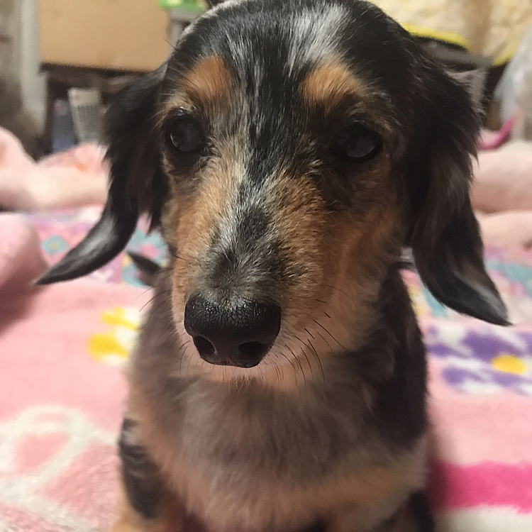 写真撮らないでよねっ😡（笑）
の顔かなあ？？写真の時は、びっくりするくらいぶちゃいくというか。。不機嫌でございます（笑）
