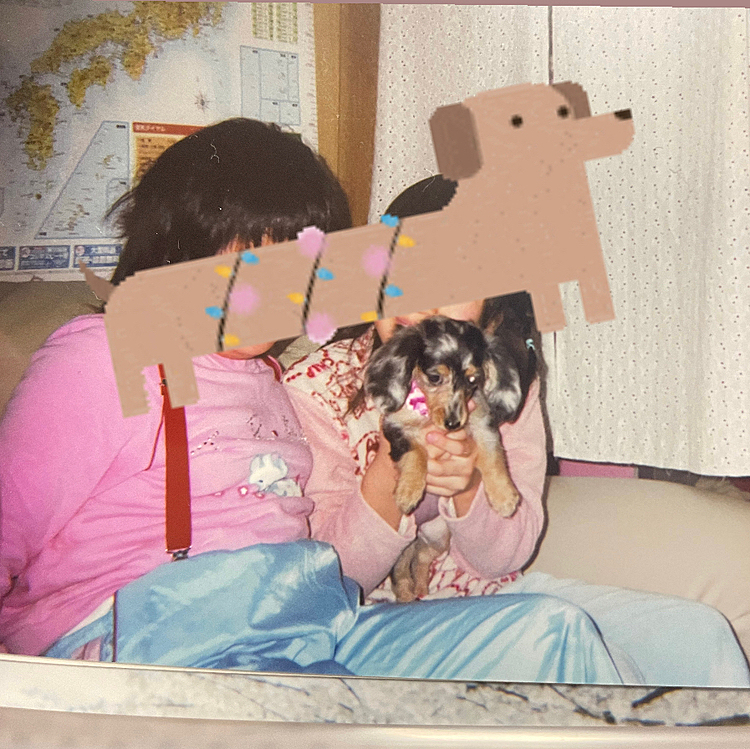 お迎えした時の〜〜🥹🥹🥹ちっっさい！
BABY🤍💓そりゃ一目惚れするっ！誰にもるる取られたくなくて、ペットショップのるるがいるケースの前から誰もるるのことを見ないように隠してたの懐かしい（笑）誰にも見せたくないくらい可愛いい〜😭😭