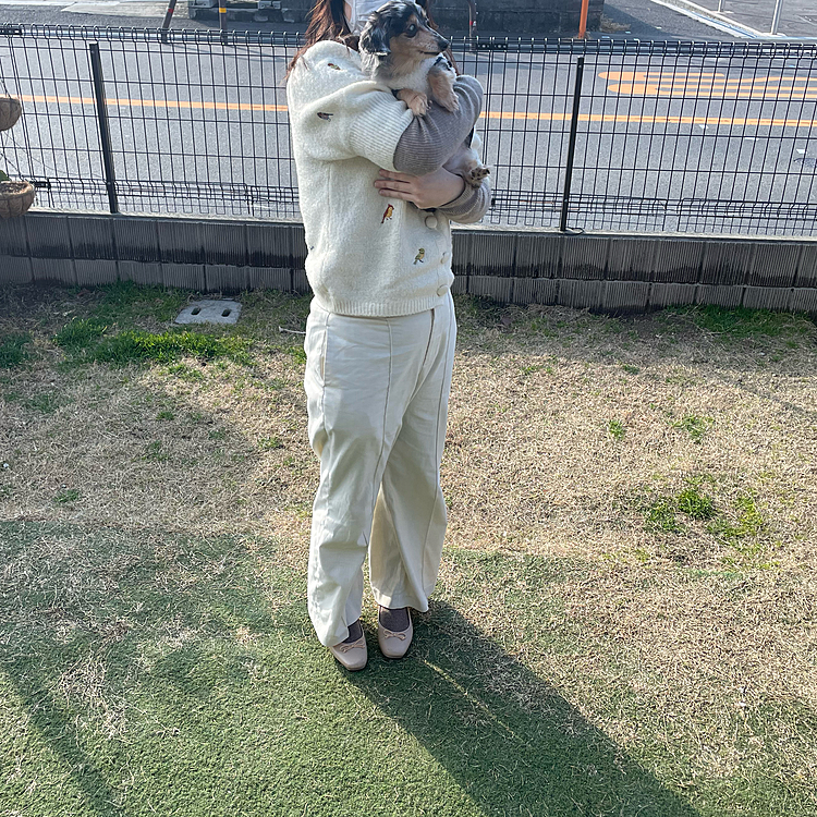 私が社会人になってからの抱っこ写真🥰
昨年の3月やで。。元気だったのにね。
脂肪もあって。病院の先生からは可愛く老いてるね。ってうれしい言葉いただいたね🥰🐶♥️