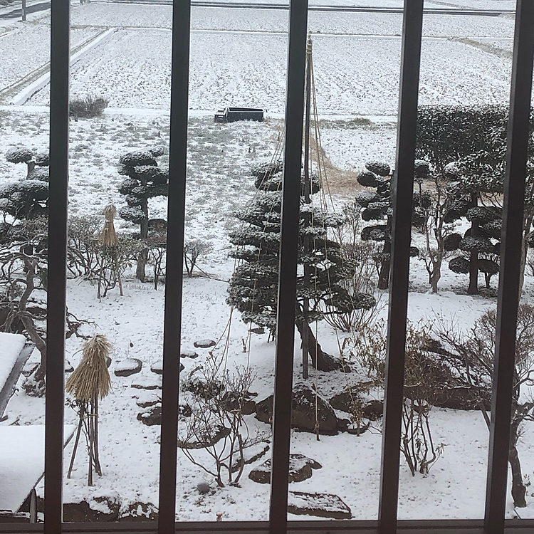 今朝は一面雪景色でしたよ❄️寒かった〜💦