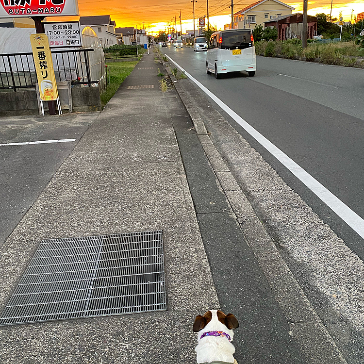 今頃晴れてきたよ！