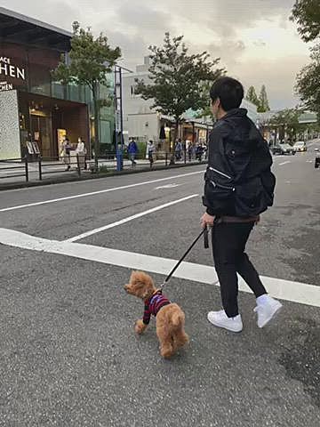 月曜日は午前中雨だったけど午後から晴れて25度越え🥵
夕方からいつものショッピングモールへ🐾
川上屋はここにもあるのですが、夕方で売り切れていましたが普通にモンブラン売ってた🌰
調べたら食べたかった『栗一筋』がいつも行くお寺の近くに系列店が先月オープンしてこちらで食べられるみたい😅
テイクアウト出来るみたいなので近々チャレンジしようっと♪
最後3枚は今日のハッピー🐶