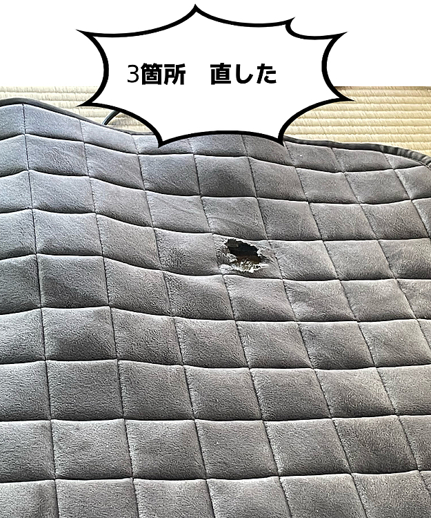 新しいマット3日でダメにして😮‍💨
それが、1ヶ月前ぐらい
ようやら、重い腰を上げ裁縫🧵
たったコレだけなのに疲れた💦
呑気にロンは寝てるし😑
仕方ないとは思ってるけど
破壊力、半端ない笑笑