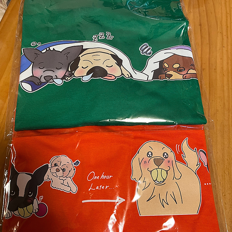 その時買ったTシャツ
わざわざ木更津まで行った甲斐がありました(*´艸`)
(だらおは初めは行く気ナシ男でしたが笑)