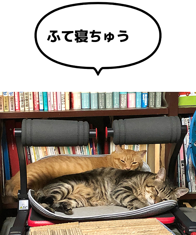 Max&Kittyの投稿