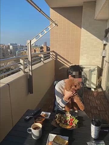 日曜日も朝から晴れ☀️
パパさんリクエストでベランダで朝食です💦
夜はいいけど朝は日焼け止め必須です😞
そして暑かった🥵
今日はマッタリ過ごして夕散歩🐾
夜ご飯は2日煮込んだ味噌おでん🍢
まっ茶色で何が何だかわからないと思いますが、モツがたくさん入っているのが我が家流です💕