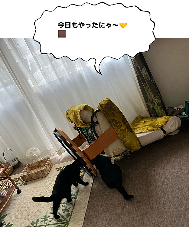 倒したチェアーの確認💺🐈‍⬛🐈‍⬛