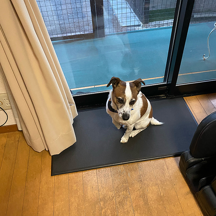 まだ、プール入れてポーズが、、