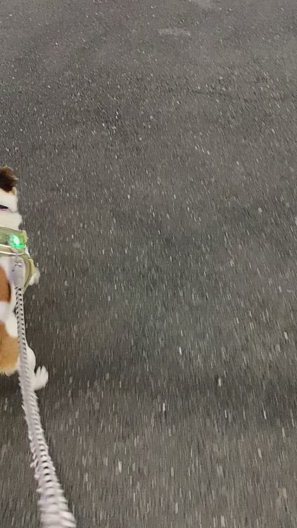5時20分で、こんなに、暗くなってる😨