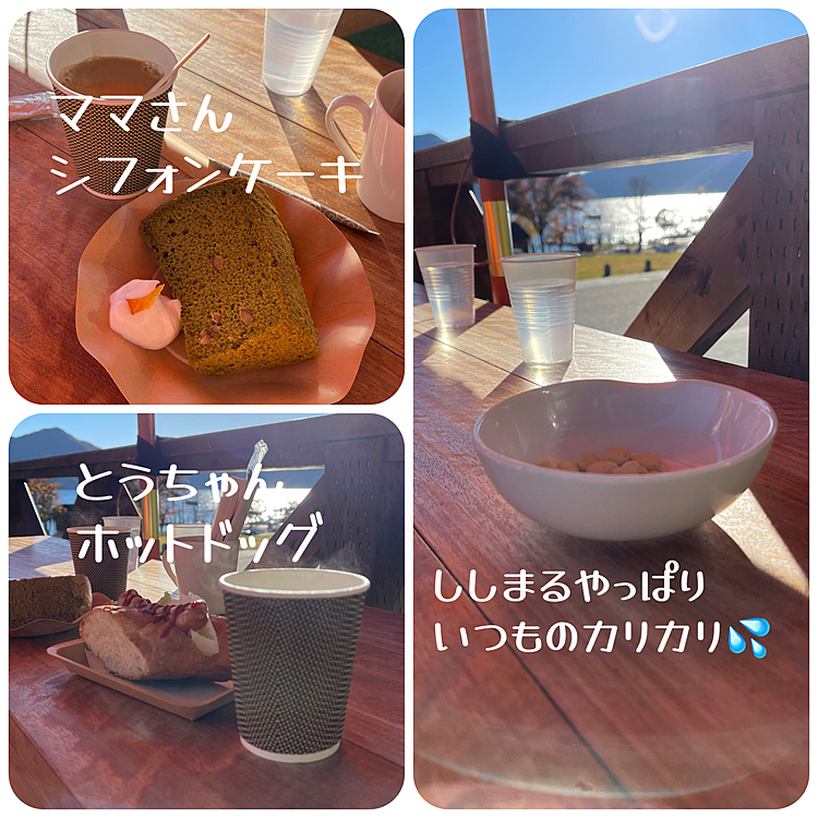 ししまるはいつものカリカリです