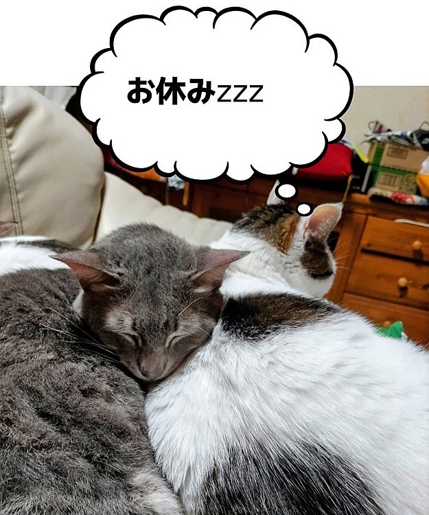 そらの投稿