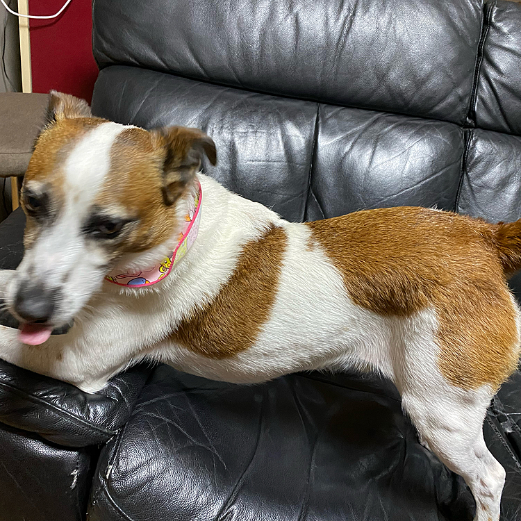 なーに？お尻突き出して❗️