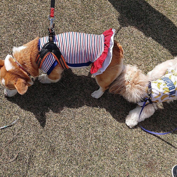 gamba0307の投稿