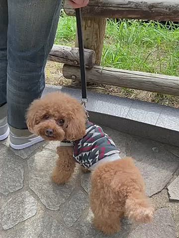 伊豆は風光明媚な場所が多いですね!