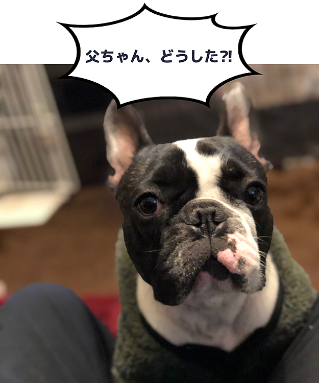 まろ父、ここ2,3日痛かった腰が悪化してしまいました😓
今日も朝から痛かったのですが、おきゃくさんでの打ち合わせからの帰りの電車から降りる時には立ち上がるのも辛かったです😂
