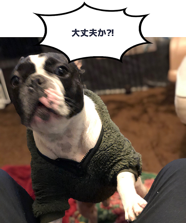 夜の💩は、まろ母に行ってもらいました🙂
今日はストライキしないで無事したみたいです😅