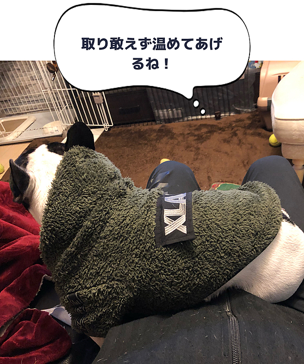 明日の朝には良くなってるといいのですが😆