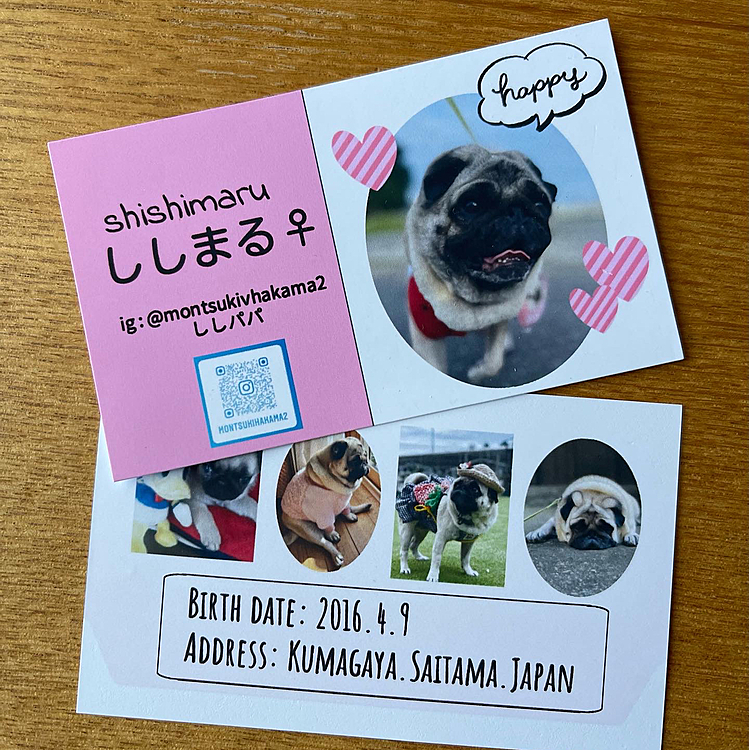 ししまる名刺作ってみたら、インスタのアカウント間違えました‥😱😱😱