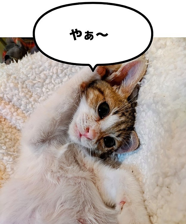そらの投稿