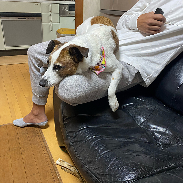 やっぱり変でしょ？パート2