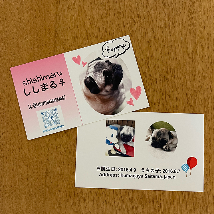 作り直した名刺、いっぱい名刺交換できましたよ😊