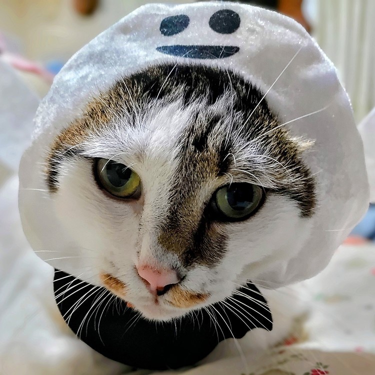 ハッピーハロウィン🎃
