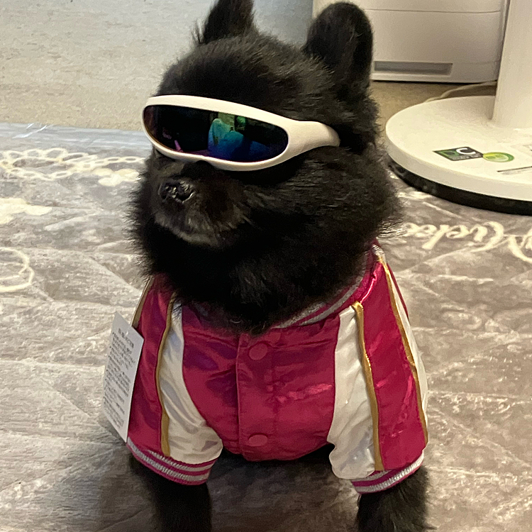 未来のサングラス風😎