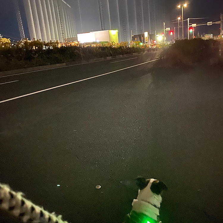 帰り