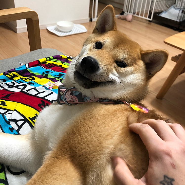 ahhhhhhh 気持ち〜🥰🥰🥰🥰